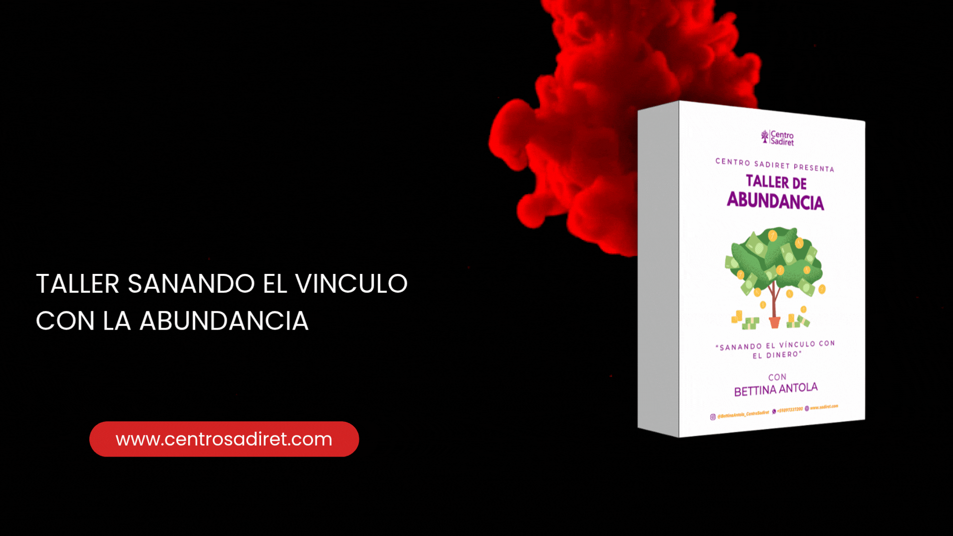 2.3 Taller abundancia «Sanando el vínculo con el dinero»